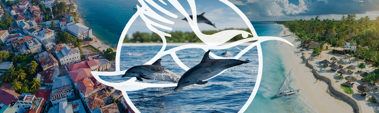 Airlink to spice up Zanzibar market zanzibar-banner